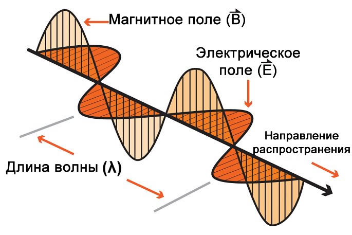 Электрическая и магнитная составляющие электромагнитной волны представлены в виде перпендикулярных синусоид