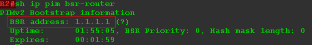 show pim bsr-router